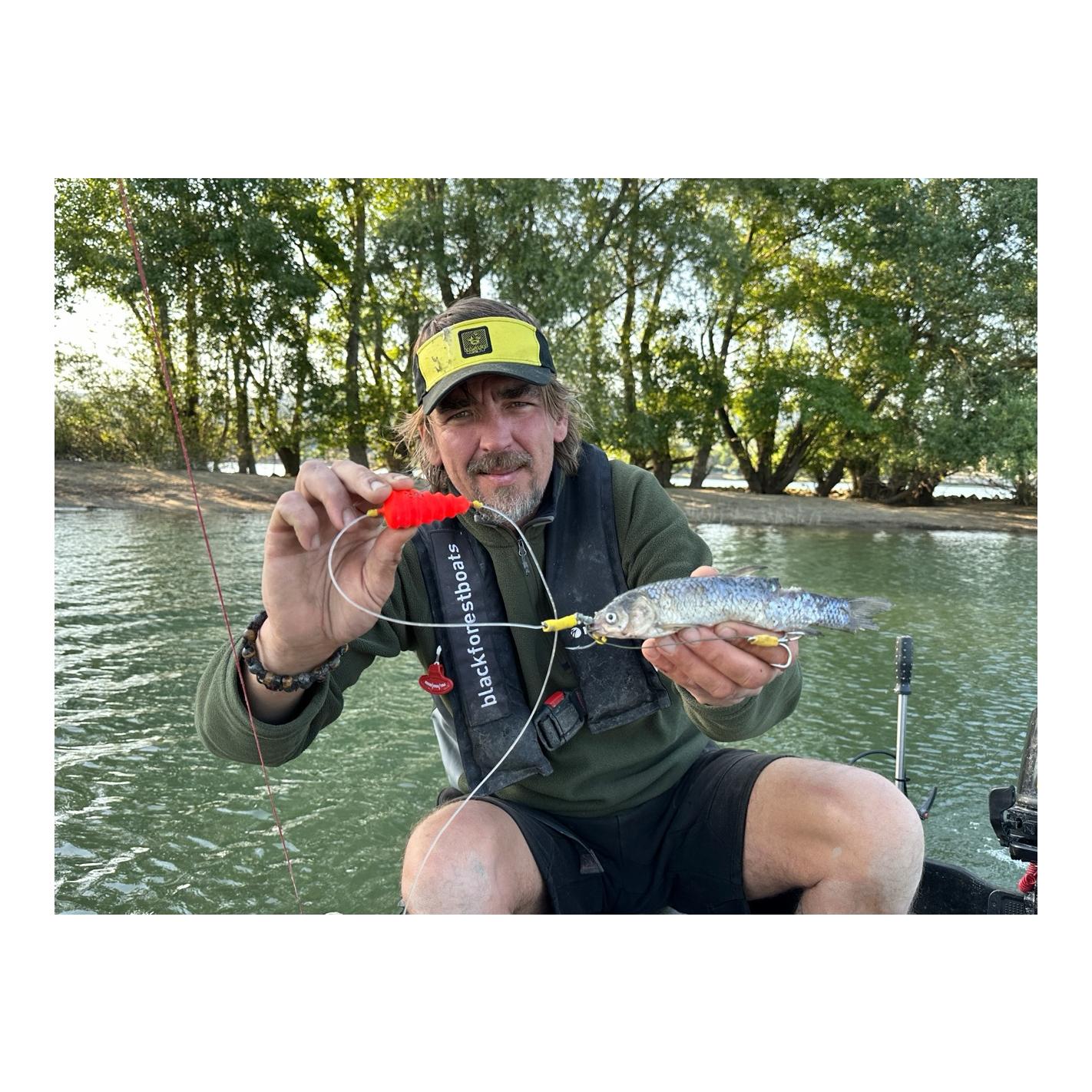 6-0 Baitfish Tree Rig L2.00m Line 1.2